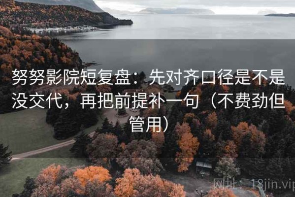 努努影院短复盘：先对齐口径是不是没交代，再把前提补一句（不费劲但管用）