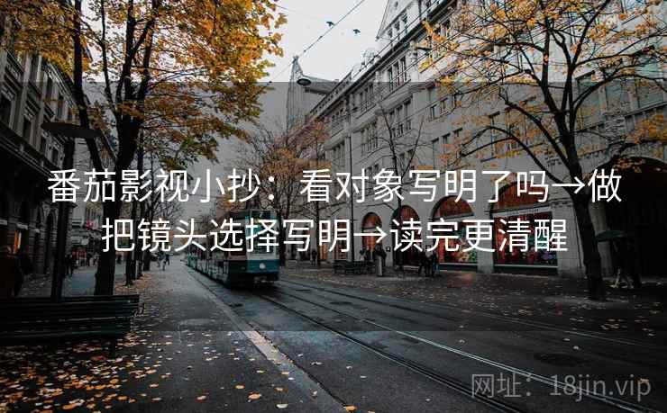 番茄影视小抄：看对象写明了吗→做把镜头选择写明→读完更清醒